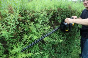 Hedge Trimmers / Pruners
